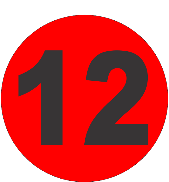 Number Twelve (12) Fluorescent Circle or Square Labels